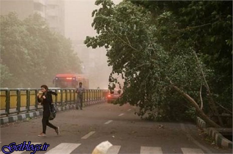 رگبار و وزش باد شدید در بعضی از استانها / هشدار هواشناسی